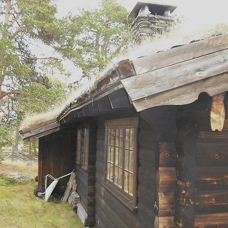 Heidal Lusaeter Timber Cabins מראה חיצוני תמונה