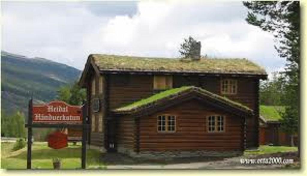 Heidal Lusaeter Timber Cabins מראה חיצוני תמונה