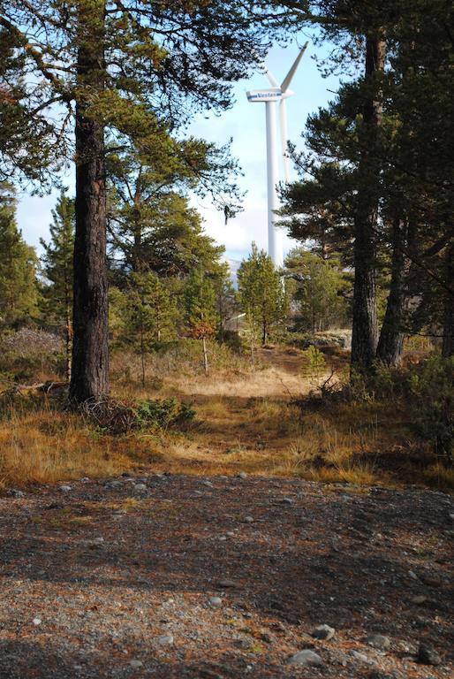 Heidal Lusaeter Timber Cabins מראה חיצוני תמונה