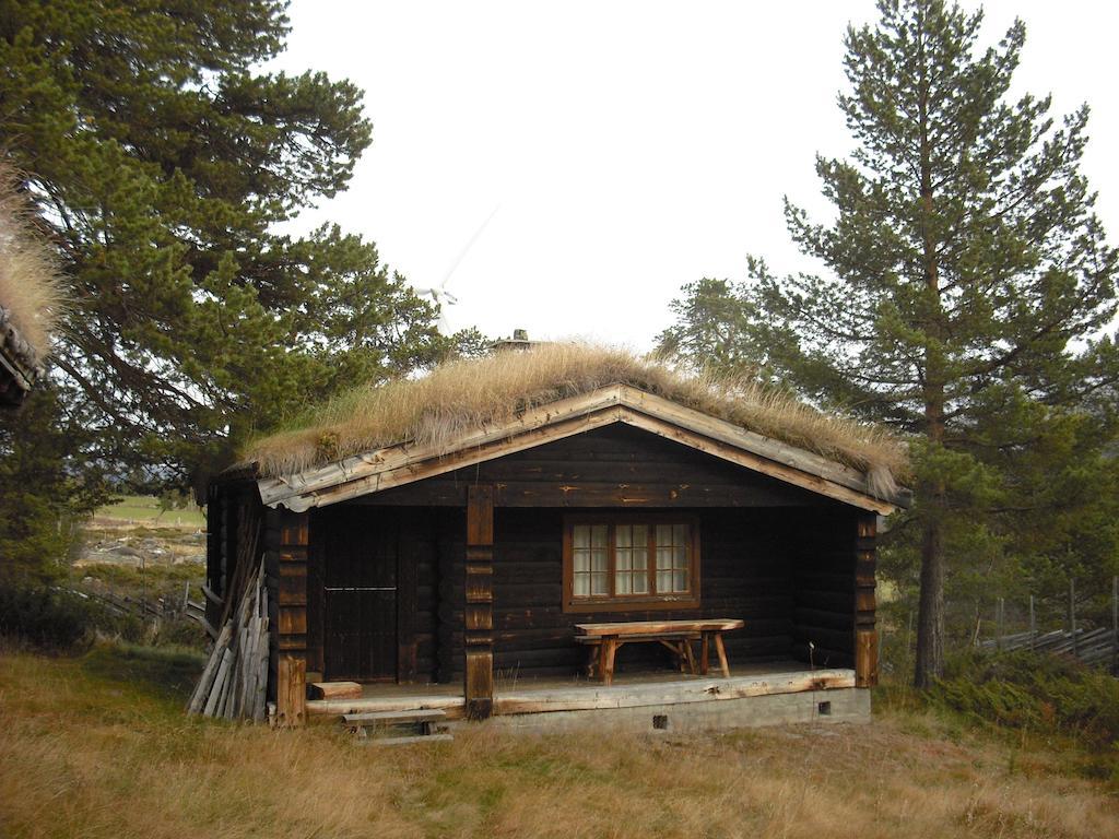 Heidal Lusaeter Timber Cabins חדר תמונה